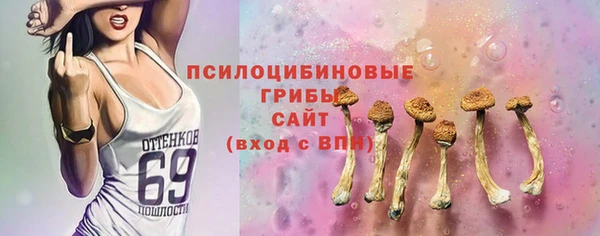 Альфа ПВП Белокуриха