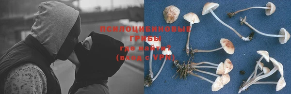 Альфа ПВП Белокуриха